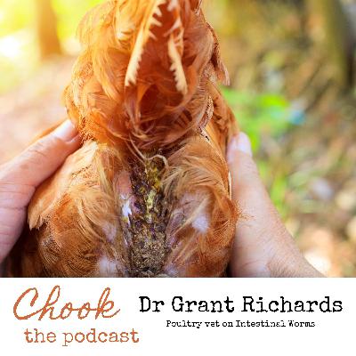 Poultry vet Dr Grant Richards on intestinal worms
