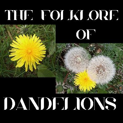S9 Ep 9 Dandelion Folklore - Weeds, Wishes & Wonder!