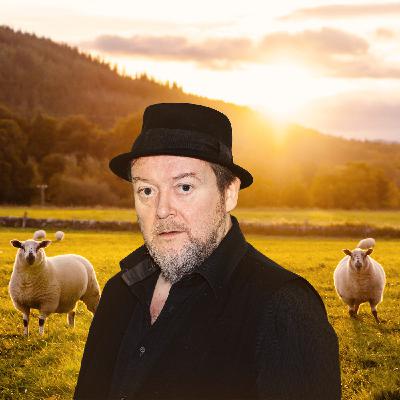 Böse Überraschung. Staffel 2, Folge 22/24