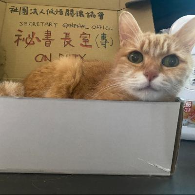 第一季暫終「阿姨我不想努力了..」心魚淦廢，咱們明年見