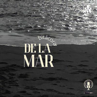 Estoy embarazada - Bitácora de la mar EP 2
