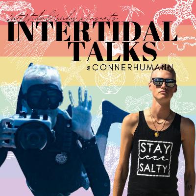 Dolphin Diving & Photography with Conner Humann
