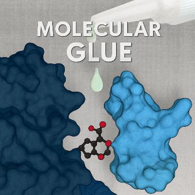E10 分子胶水：蛋白红娘“撮合”蛋白质，攻克不可成药的癌症靶点