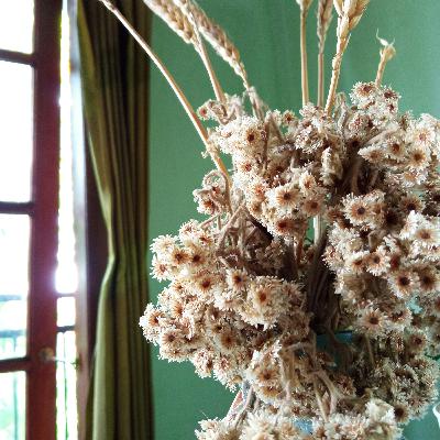 Kesendirian adalah hal yang biasa