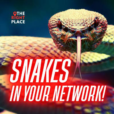 Snakes! How to Spot, Stop & Survive Toxic Connections Snakes! How to Spot, Stop & Survive Toxic Connections