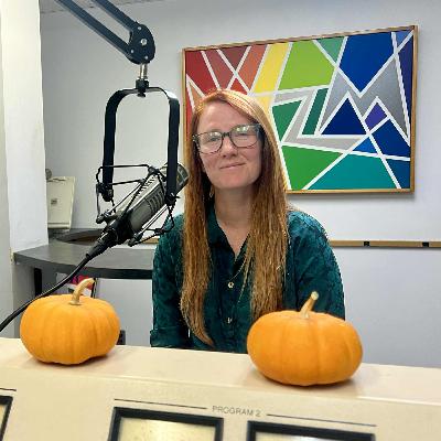 Mac Kiel on La Crosse budget shortfall, bike lanes, closing a library or pool and homelessness
