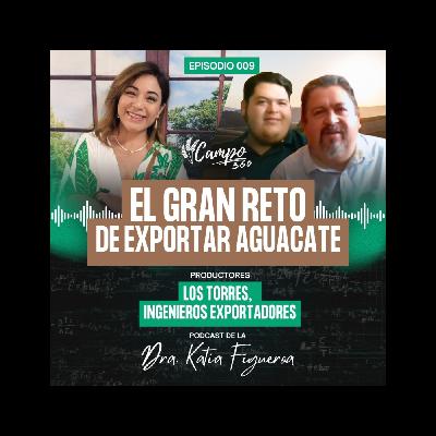#009. El gran reto de exportar aguacate