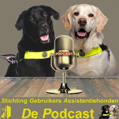 #7 - Oud en Nieuw podcast