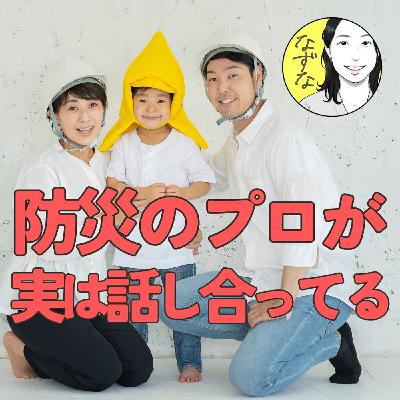 【防災】の専門家は、コレを話し合っている。これから防災庁が作られるよ #395