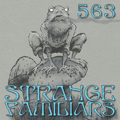 Faeries, Dreams, and Other Things