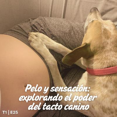 T1 I E25 Pelo y sensación: explorando el poder del tacto canino