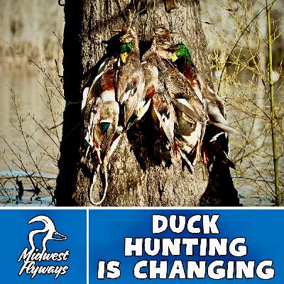 Duck Hunting is Changing Duck Hunting is Changing
