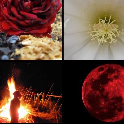 Todo fue colonizado, todo puede ser recordado Todo fue colonizado, todo puede ser recordado