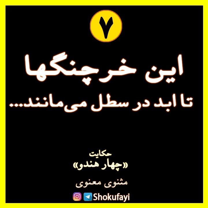 این خرچنگها تا ابد در سطل می‌مانند
