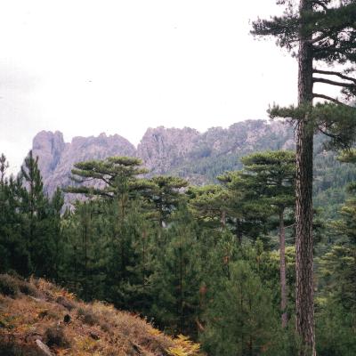 1er septembre 2000, de Paliri au col de Bavella puis Ajaccio et Lille