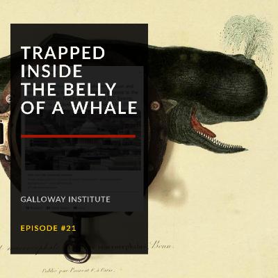 The "Old-Right": Trapped Inside the Belly of a Whale