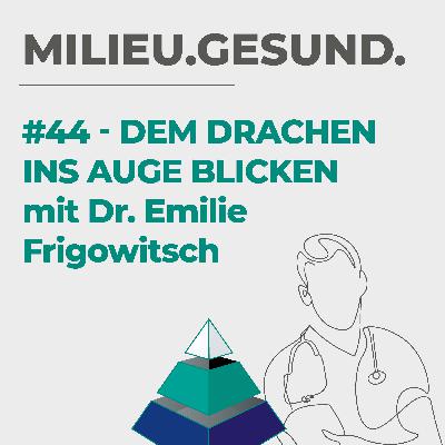 44 - Dem Drachen ins Auge blicken - Interview mit Dr. Frigowitsch