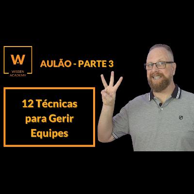 AULÃO - As 12 técnicas para Gerir Equipes (PARTE 3)