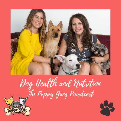 E11: What CBD Is, The Benefits of CBD For Your Dog and How to Incorporate CBD Into Your Dogs Diet
