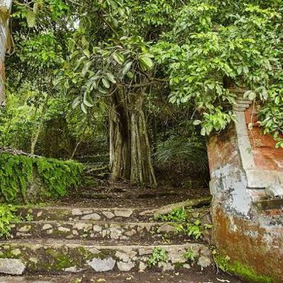 Cerita Rakyat Bali - Asal Usul Desa Terunyan