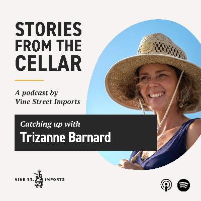 Catching up with Trizanne Barnard: Aha moments & wine consumption trends