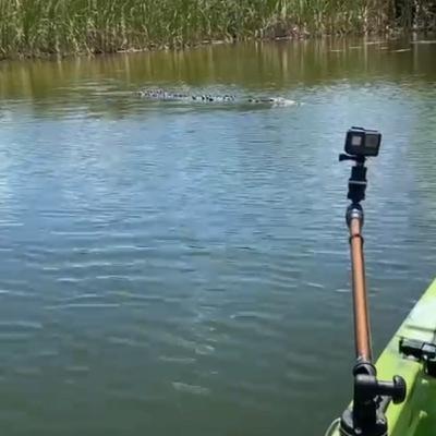 Pescando en kayak con Alligator prehistórico incluido