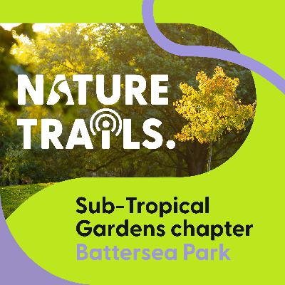 Sub-Tropical Gardens