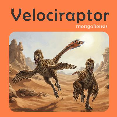 Velociraptor | Story Velociraptor | Story