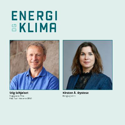 – Vi har feilet for lite i klimapolitikken