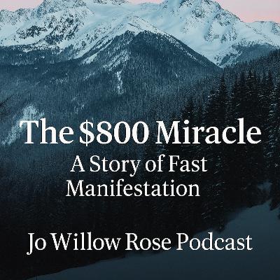 The $800 Miracle: A Story of Fast Manifestation The $800 Miracle: A Story of Fast Manifestation