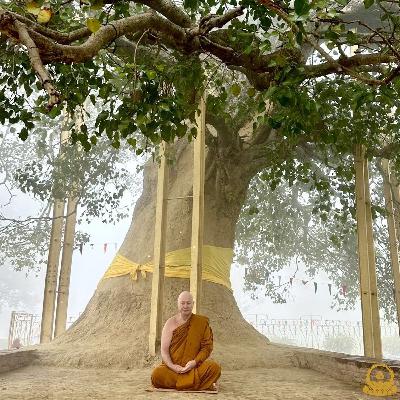 14. ปฏิบัติธรรมที่อินเดีย - วัดเชตวันมหาวิหาร นครสาวัตถี