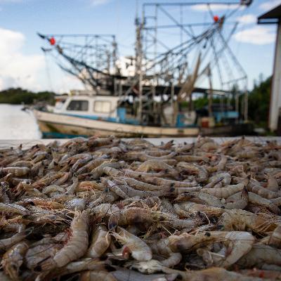 Catching up with a fired federal worker, a shrimper and a fraudster Catching up with a fired federal worker, a shrimper and a fraudster