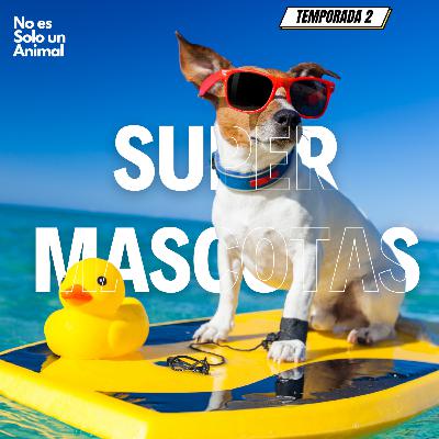 Todos pueden ser Super Mascotas Todos pueden ser Super Mascotas