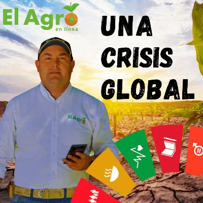 El Agro en Línea Episodio 0 El Agro en Línea Episodio 0