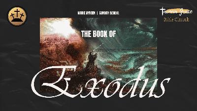 Moses Builds and Sets Up the Tabernacle