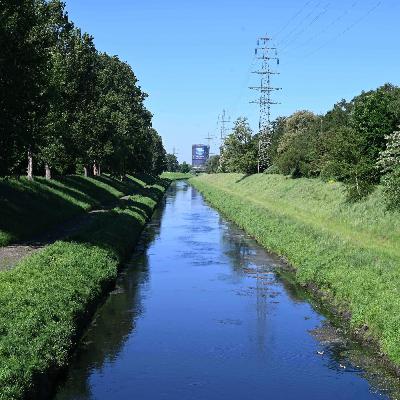 Begradigung - Weshalb Flüsse nicht mehr frei fließen durften Begradigung - Weshalb Flüsse nicht mehr frei fließen durften