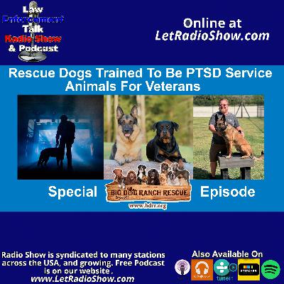 Rescue Dogs Trained To Be PTSD Service Animals For Vets Rescue Dogs Trained To Be PTSD Service Animals For Vets