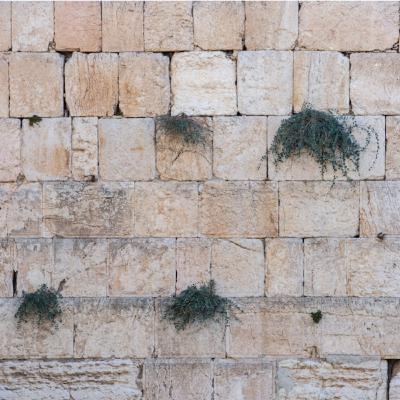 81. El muro que impide la plenitud del Amor Verdadero