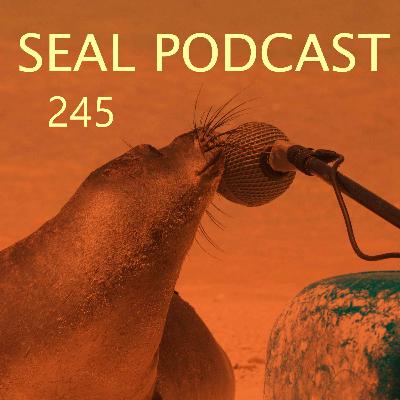Episode 245 - Hedge Lord