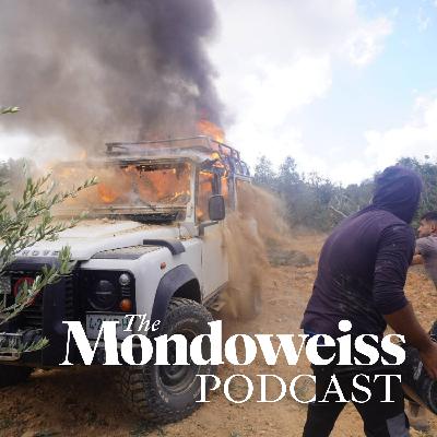 A bloody season: the olive harvest in the West Bank A bloody season: the olive harvest in the West Bank