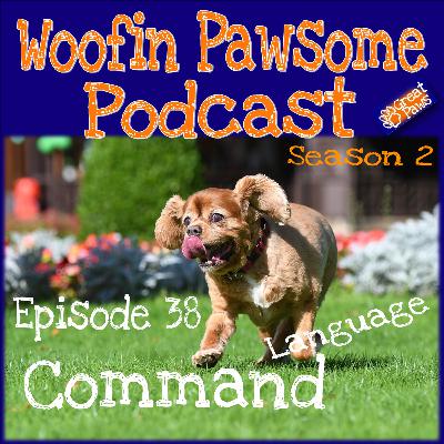 Commands - Language - Episode 38 Commands - Language - Episode 38