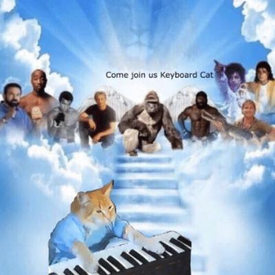 Internet | Apollo 13