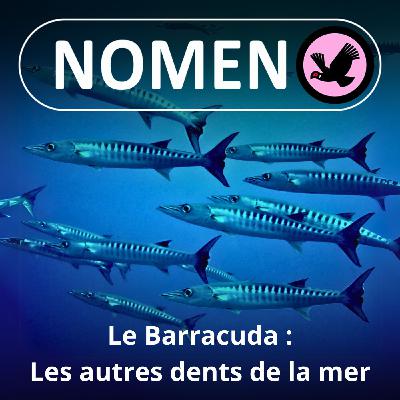 S04E39 Le Barracuda, les autres dents de la mer