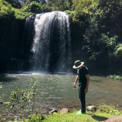 ¡Falsedad! Autor: Gil Díaz