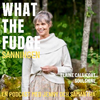 41. Elaine Callicoat - NeuroBalansTerapi - NBT - Nervsystemet är en nyckel till läkning