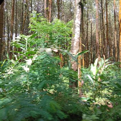 Masalahhh seneng masalah lagi that's life bro