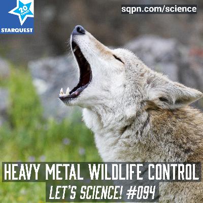Heavy Metal Wildlife Control Heavy Metal Wildlife Control