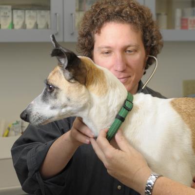 Episode 9 - Cannabis Medicine for Pets and Livestock with guest Dr. Gary Richter