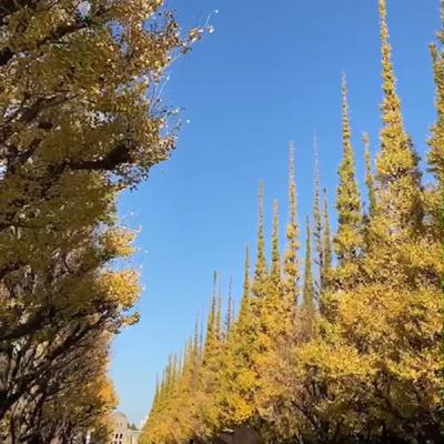 地球温暖化／気候変動