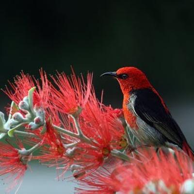 Amazing Hindi Kavita Amazing Hindi Kavita